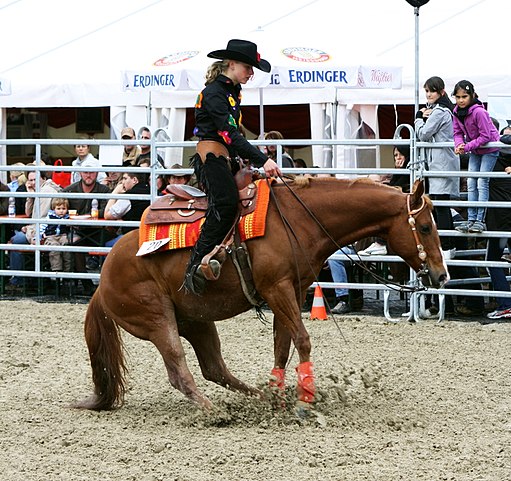 Westernreiten auf der Veranstaltung Pferd International.
