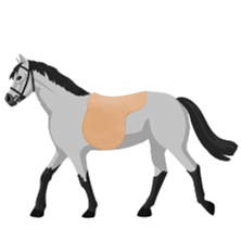 Satteldecken für Pferde